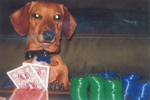 This is Pablo's poker face.....