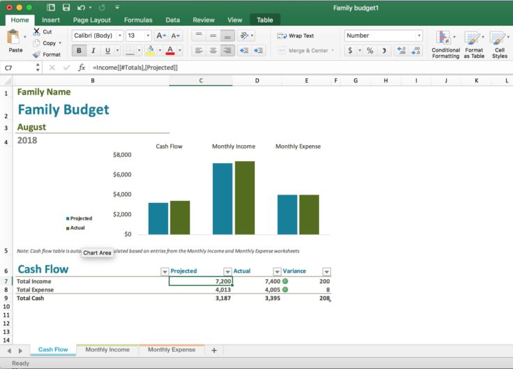 Example of Microsoft Excel Family Budget template