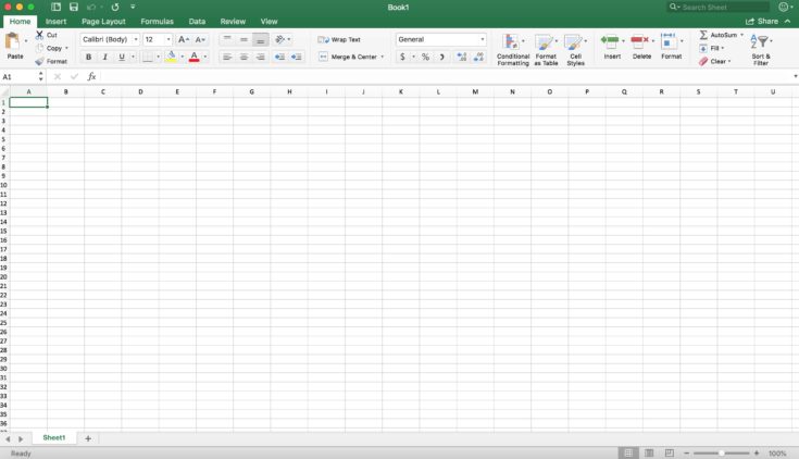 Image of blank Excel worksheet