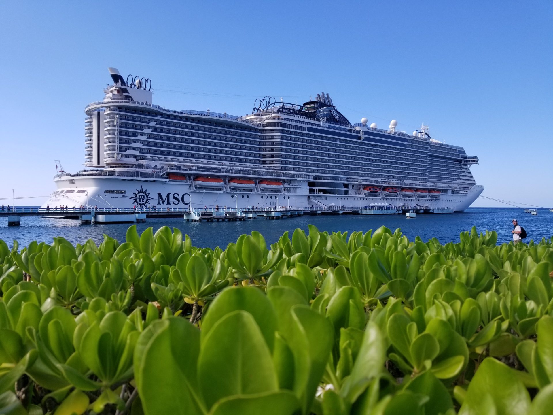 MSC Seaside Review A Beautiful Ship for Families s