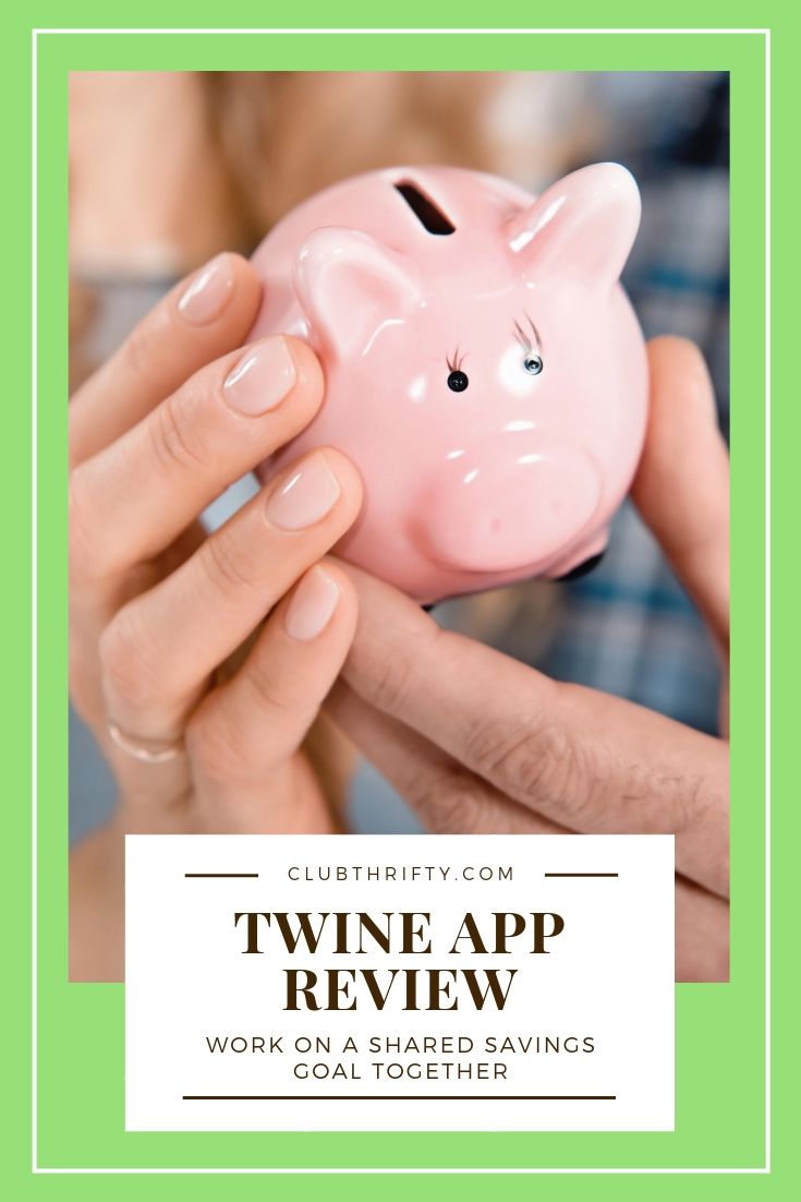 Twine App Review Pin - picture of two people holding piggy bank