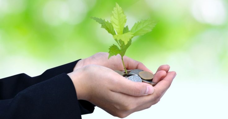 Best Money Market Accounts - picture of hands holding small tree growing from coins