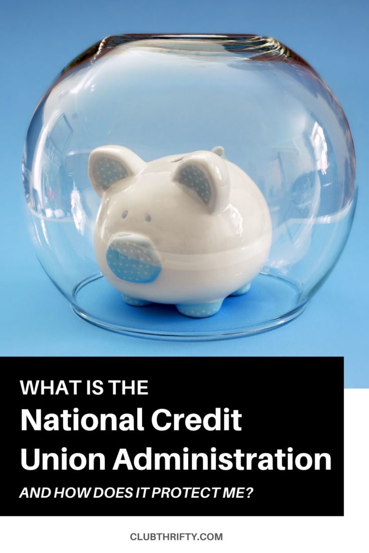 What is the NCUA Pin - picture of white piggy bank inside upside down fish bowl