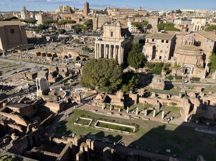 Image of Roman Forum from Palatine Hill
